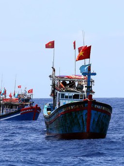 Kịch liệt phản đối Trung Quốc áp lệnh cấm đánh bắt cá ở vùng biển Hoàng Sa