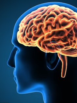 Nhóm người nào có nguy cơ đột quỵ cao nhất?