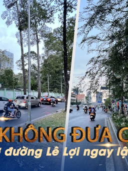 Vì sao không đưa cây lớn đến trồng ở đường Lê Lợi ngay lập tức?