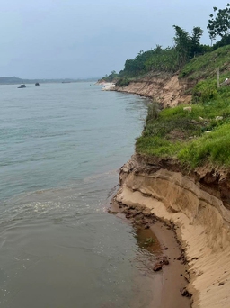 'Mất ăn, mất ngủ' vì bờ sông Đà ở Phú Thọ sạt lở sâu