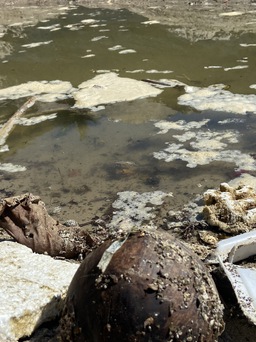 Cống nước đen, hôi thối, rác thải đổ thẳng ra biển Nha Trang