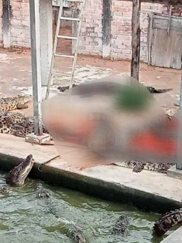 Chủ tịch một hiệp hội cá sấu tại Campuchia bị cá sấu nhà nuôi cắn chết