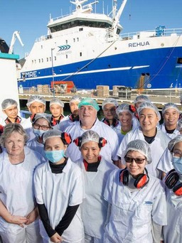 Lao động Việt Nam bù đắp thiếu hụt nhân công ở New Zealand