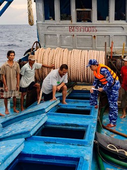 Cảnh sát biển bắt giữ tàu cá chở 150.000 lít dầu DO không rõ nguồn gốc