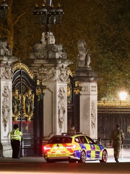 Cảnh sát Anh bắt người ném đạn vào Điện Buckingham