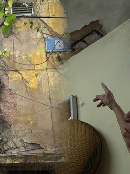 Hoảng hồn khu tập thể ọp ẹp ở Hà Nội: trần nhà nứt vỡ, cây mọc lên tường