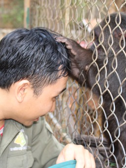 Cứu hộ động vật hoang dã: Chuyện 'thâm cung' ở khu cứu hộ