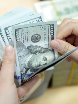 Giá USD hôm nay 6.5.2023: Đồng bạc xanh tự do tăng giá