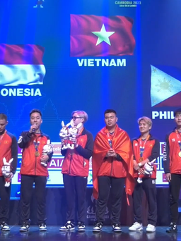 HCV đầu tiên của thể thao điện tử Việt Nam tại SEA Games 32