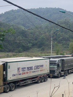 Thủ tướng chỉ đạo cấp bách giảm ùn ứ nông sản ở biên giới phía bắc