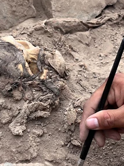 Các nhà khảo cổ Peru tìm thấy xác ướp 3.000 năm ở Lima