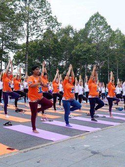 Hơn 500 người đồng diễn tại ngày quốc tế yoga tổ chức ở Đồng Tháp