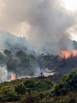 Quảng Ninh: Liên tiếp xảy ra cháy rừng khiến 2 người thiệt mạng