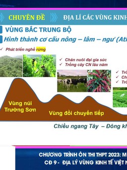 Bí quyết ôn thi tốt nghiệp THPT đạt điểm cao: Địa lý vùng kinh tế
