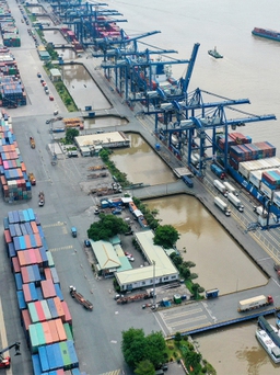 Nợ thuế hơn 10 tỉ đồng, một DN nhập khẩu ô tô bị cưỡng chế dừng làm thủ tục