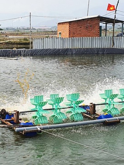 'Lệ làng' không thể đứng trên pháp luật
