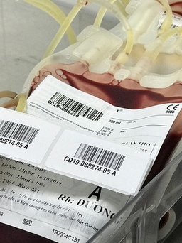Bệnh viện Chợ Rẫy lấy máu dự trữ chia sẻ cho Đồng bằng sông Cửu Long