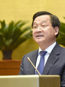 Phó thủ tướng nêu bài học chống tham nhũng 'đập chuột nhưng không vỡ bình'
