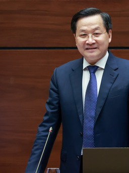 Phó thủ tướng: 'Sở hữu chéo sẽ tác động đến hành vi thao túng ngân hàng'
