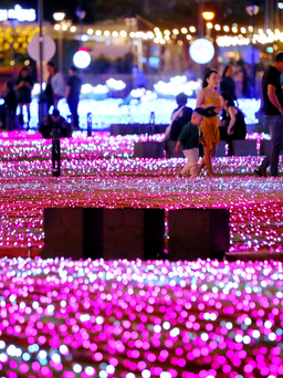 500.000 bóng đèn LED thắp sáng bờ tây sông Hàn - Đà Nẵng