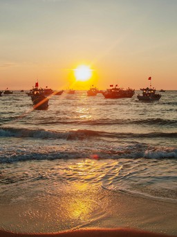 Về chợ cá Quảng Bình ngắm bình minh, thưởng thức món lạ