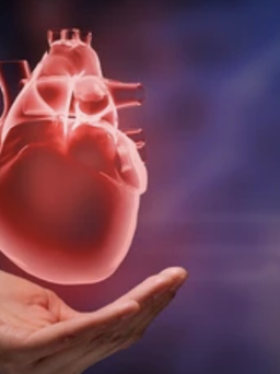 Bác sĩ tiết lộ một trong những bài tập tốt nhất cho tim mạch