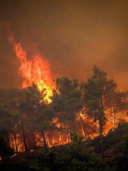 Hàng ngàn người sơ tán vì cháy rừng trên đảo Rhodes lúc nắng nóng gay gắt