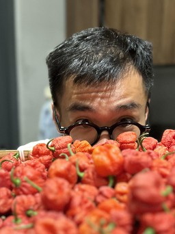 Thạc sĩ bỏ việc nghìn USD đi trồng loại ớt cay nhất thế giới