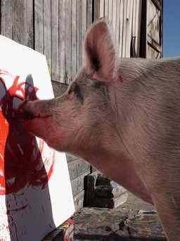 'Danh họa' lợn vẽ tranh bán được triệu đô
