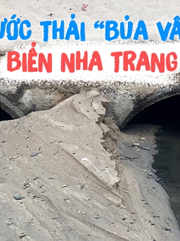 Kinh hãi cảnh nước thải ‘bủa vây’ biển Nha Trang, đe dọa rạn san hô Hòn Chồng