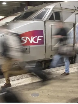 Công ty đường sắt Pháp bị phạt vì xe lửa cán chết con mèo