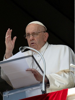 Giáo hoàng Francis công bố tấn phong 21 hồng y mới