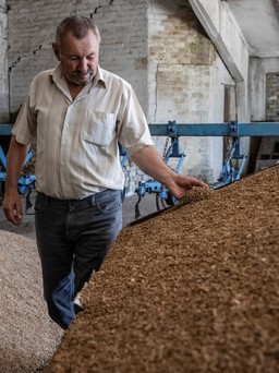 Nông dân Ukraine giữa căng thẳng biển Đen: 'Không có đồng lợi nhuận nào' năm nay
