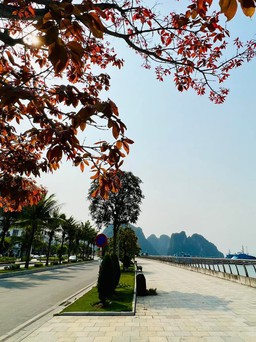 Đặt tượng ở 4 khu vực trên tuyến đường ven vịnh Hạ Long dài 30 km