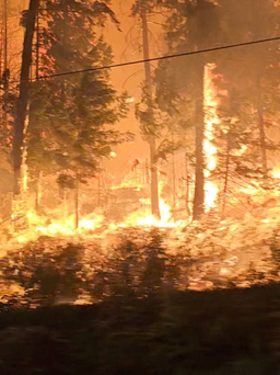 Cháy rừng nghiêm trọng lan nhanh nhiều nơi