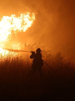 Phát hiện 18 thi thể trong đám cháy rừng ở Hy Lạp