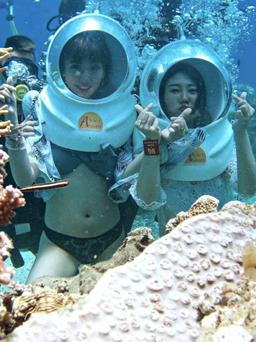Chưa đề xuất cho lặn biển tại khu bảo tồn Hòn Mun từng bị tẩy trắng