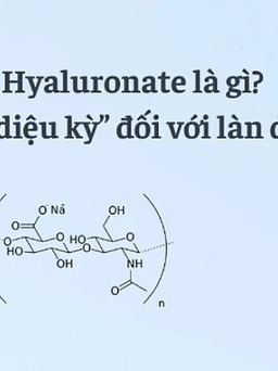 Sodium Hyaluronate là gì? Có thật sự mang lại tác dụng dưỡng ẩm, làm đầy nếp nhăn?