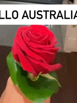Bị phạt 1.200 USD chỉ vì mang một bông hồng vào sân bay