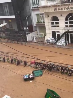 Đà Lạt: Khẩn cấp xây dựng công trình chống ngập úng hạ lưu suối Cam Ly