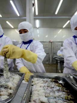 Tận dụng cơ hội xuất khẩu tôm, cá sang Trung Quốc