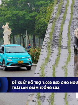 CHUYỂN ĐỘNG KINH TẾ ngày 4.8: Đề xuất hỗ trợ 1.000 USD cho người mua ô tô điện | Thái Lan giảm trồng lúa