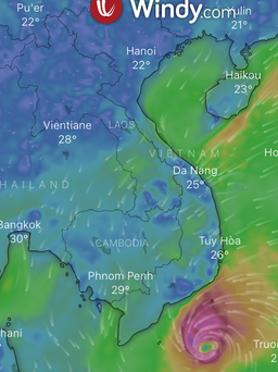 Đầu tháng 12 sẽ có bão trên Biển Đông?