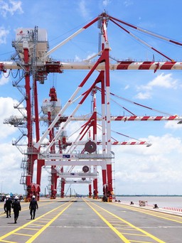 Cảng Long An hợp tác với cảng lớn nhất bang California