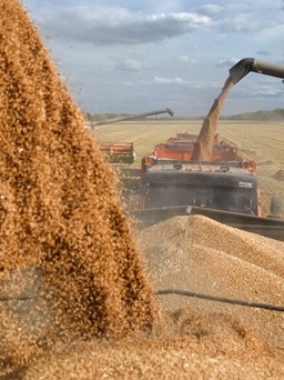 Nga muốn tăng xuất khẩu ngũ cốc cũng không dễ