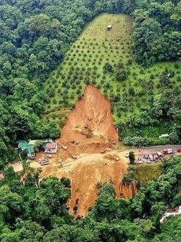Sạt lở đất khiến nhiều người chết: 'Hãy xem con người tác động vào rừng thế nào'