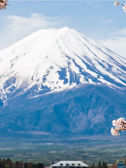 Nhật Bản: Nhiều du khách làm ô uế núi Phú Sĩ linh thiêng