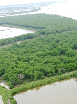 Thái Bình đang rà soát thực địa về việc thu hẹp khu bảo tồn thiên nhiên Tiền Hải