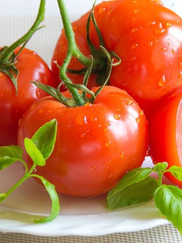 Cà chua sống hay chín có tác dụng phòng chống ung thư tốt hơn?