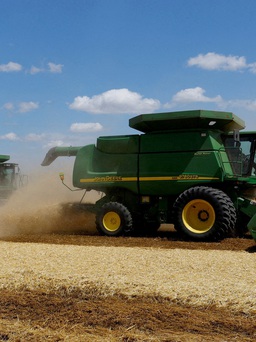 3 nước châu Âu cấm nhập khẩu ngũ cốc từ Ukraine